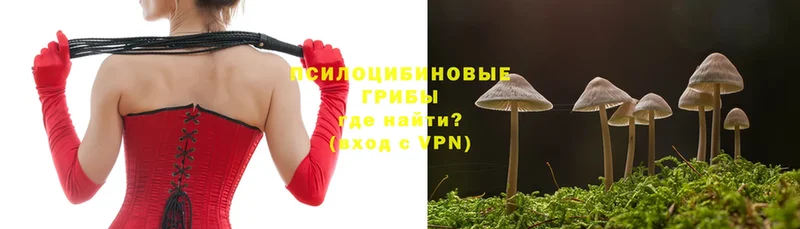 Галлюциногенные грибы Psilocybe  Донской 